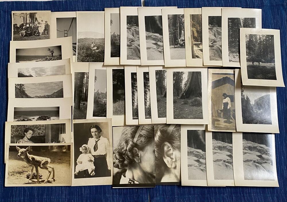 Lot of 31 Vintage RPPC Postcards Yosemite Sequoia Kings River Canyon + 103B